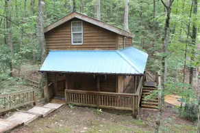 Black Bear Necessities Cabin - Image 4