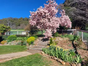 At Our Place | Mid-Century Orchard Cottage - Image 2