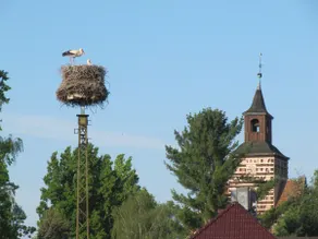A stay in a stork village 1 (with AC) - Image 2