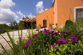 Calabria: B&B 10 minutes from the sea (pet friendly) - Image 2