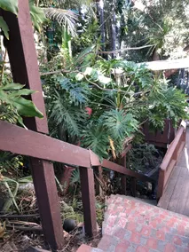 Tranquil Wooded Downtown Escape - Image 2