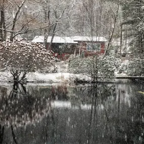 Magical Garden Retreat-Your Romantic Getaway !! - Image 4