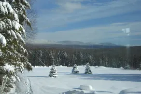 #5 - Owl's Branch Cabin - Image 5