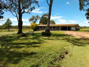 Home Among the Gum Trees - Image 3