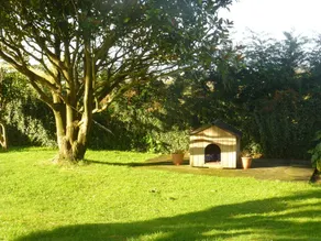 Casacovas - Image 5