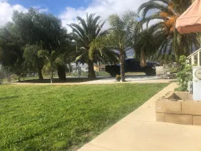 Private Palm Tree Home with Huge Gated Yard! - Image 3