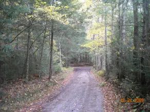 Cupid's Cove Cabin in SE TN Mountains - Image 5