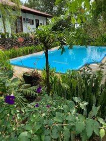 Morong, Bataan Nature Hideaway - Image 4