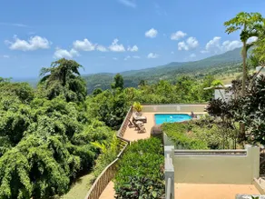 Casa Adalia del Yunque with Private Pool + River Swim - Image 2