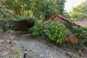 Discover Minho and rest in the middle of nature-suite - Image 2