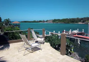 Mangrove Dock - Image 2
