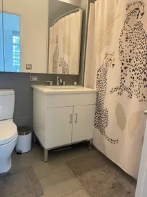 1 Bedroom Luxury Waterfront Williamsburg Apt - Image 4