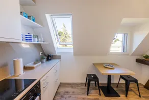 Luxury penthouse lion monument - Image 4