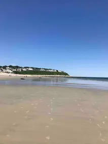 Charming Plymouth cottage Walk to Priscilla Beach - Image 3