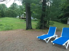 All Seasons Lake Front Cottage - Image 4