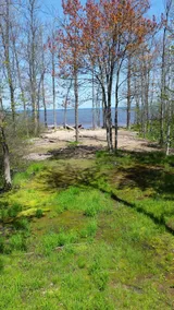Driftwood Shores Cottage - Image 2