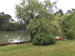 Charming house, private pond - Image 3