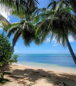 Near airport / Isla Verde / Dinning & top attractions - Image 4