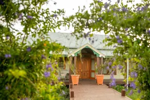 Hanging Tree Wines - Image 2