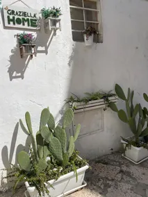 Historic center, mini independent apartment, finely furnished, located on the ground floor, open space with kitchenette. - Image 5