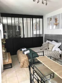 Air-conditioned apartment with jacuzzi, parking, garden, barbecue - Image 3