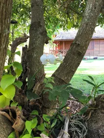 Rancho Moriáh - Image 3