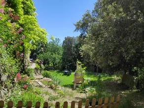 Charming cottage in the vineyards with pool - Image 4