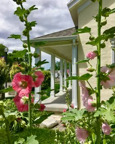 Maison de rose trémière à Spring City - Image 3