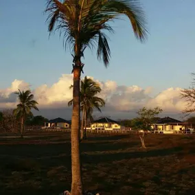 Wera Beach Villa kelapa - Image 3