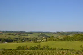 OLIVE TREE APARTMENT - CHIANTI - Image 3