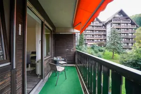 Gaishöll Waterfalls Apartment Black Forest - Image 2