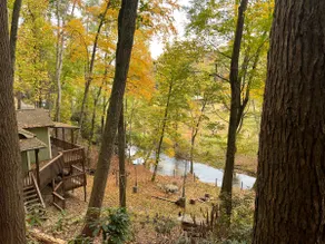 Secluded Creekside Cabin in Morganton near Linville Gorge - hot tub - Image 4