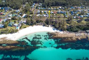Palmwood at Hyams Beach - Image 3