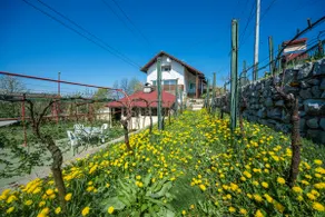 Apartment Bastaja - Image 2