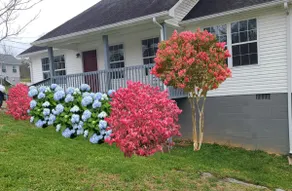 Mountain View Cottage. - Image 2