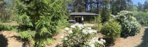 Vacation home forest and lake idyll near bathing lakes, Spreewald and Berlin - Image 2