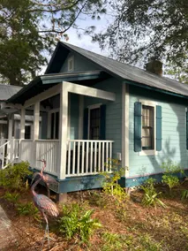 Hatch Life in Steinhatchee Landing - Image 4