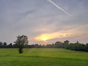 The Shiloh Retreat - Image 4