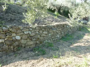 Talia Farmhouse - Single Villa - Image 5