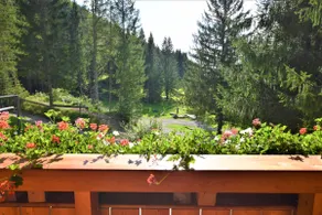 Ferienhaus Dirnbacher Hütte - Image 4