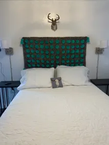 Jackalope Suite-Downtown on Chadbourne - Image 2