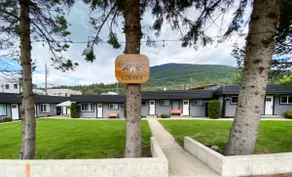 Cozy Suites! Great Location! - Brown Suite - Image 3
