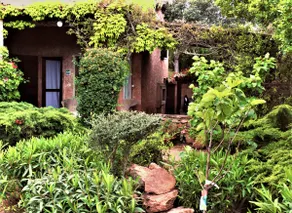 Villa Cactus, Costa Corallina - Image 4