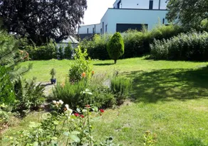 Place of Peace - Image 4