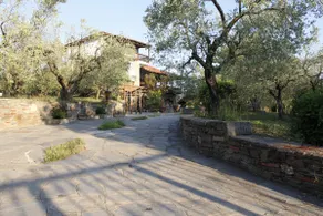 House in an olive grove, near the sea - Image 5