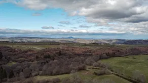 Parador Vert - Image 3