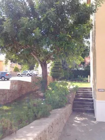 Lovely apartment in the La Sella development - Image 4