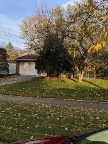 Cozy Mid Century Ranch in Quiet Neighborhood - Image 2