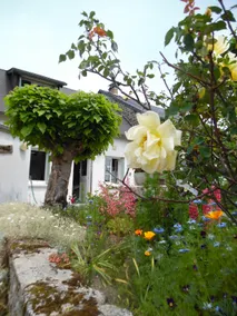 Holiday home in the heart of Corrèze 2 ** - Image 3