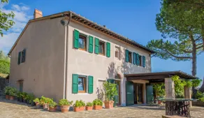 Tuscan Estate - Pool - Olive Grove - 8 ha - Image 4